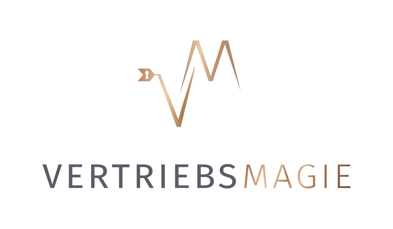 Logo Vertriebsmagie